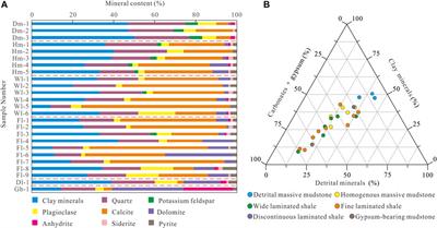 The Role of Soluble Organic Matter in Shale Oil “Sweet Spots” Prediction: An Investigation of Shale With Different Lithofacies in the Dongying Sag